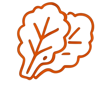 Fruits & Vegetables - Leafy Greens